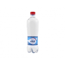 Agua Mineral 600cc. S/Gas Vital