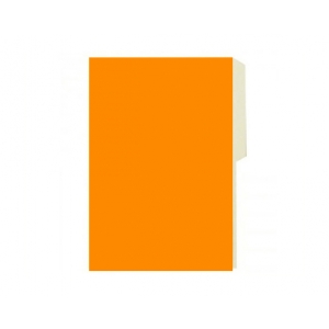 Carpeta Cartulina Pigmentada Naranjo
