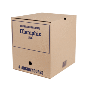 Caja Archivo 4 Archivadores 32x36x37cm Memphis