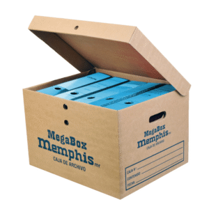 Caja Archivo Megabox 45x36x29.5cm Memphis