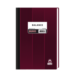 Libro Contable Nº581 Balance 100hjs Buho