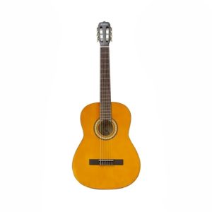 Guitarra Acustica 39 ARCG44 NT Vizcaya