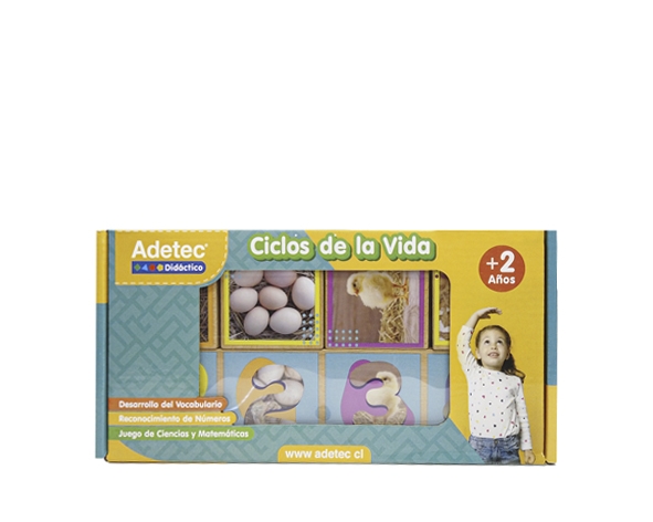 Secuencias de Ciclos de Vida Adetec